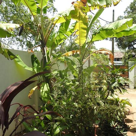 Alleppey Beach Garden Alappuzha Exterior foto