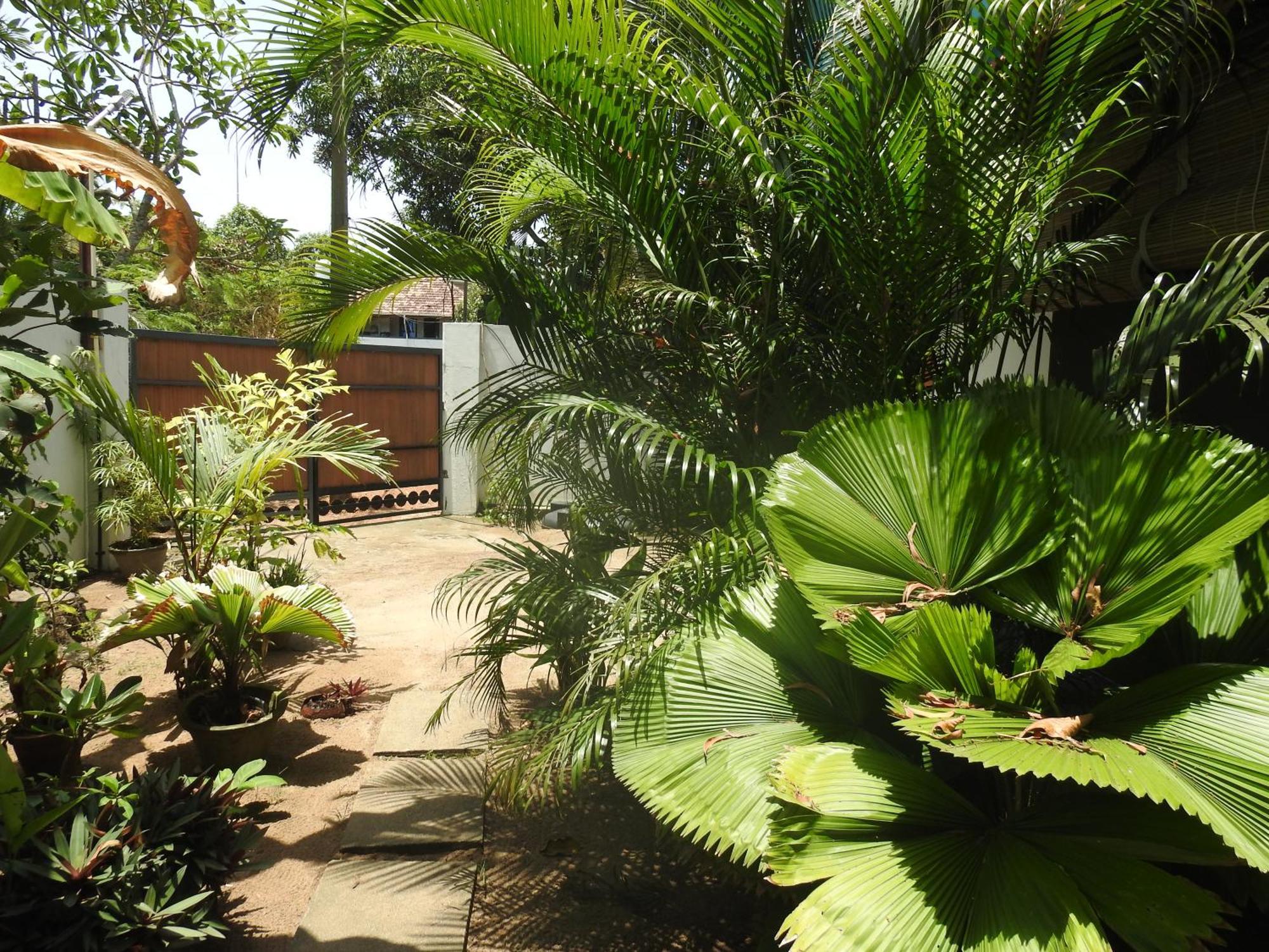 Alleppey Beach Garden Alappuzha Exterior foto
